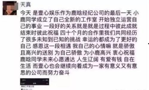 娱乐圈吃瓜事件表格,揭秘明星幕后真相  第3张