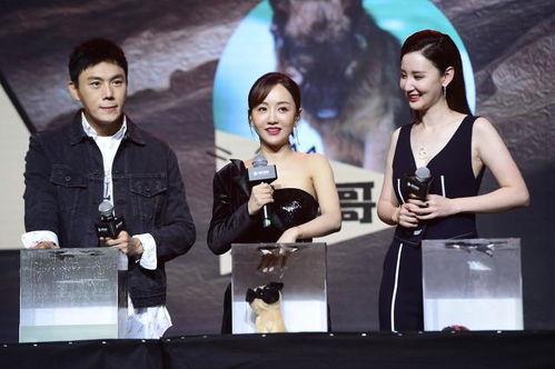 吃瓜群众cj爆料娱乐圈,吃瓜群众cj揭秘幕后真相  第3张