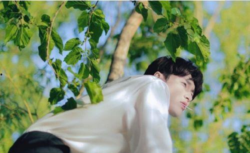 娱乐吃瓜社张艺兴  第2张