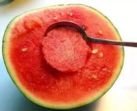 娱乐吃瓜酱江浙沪,揭秘娱乐圈幕后故事  第3张